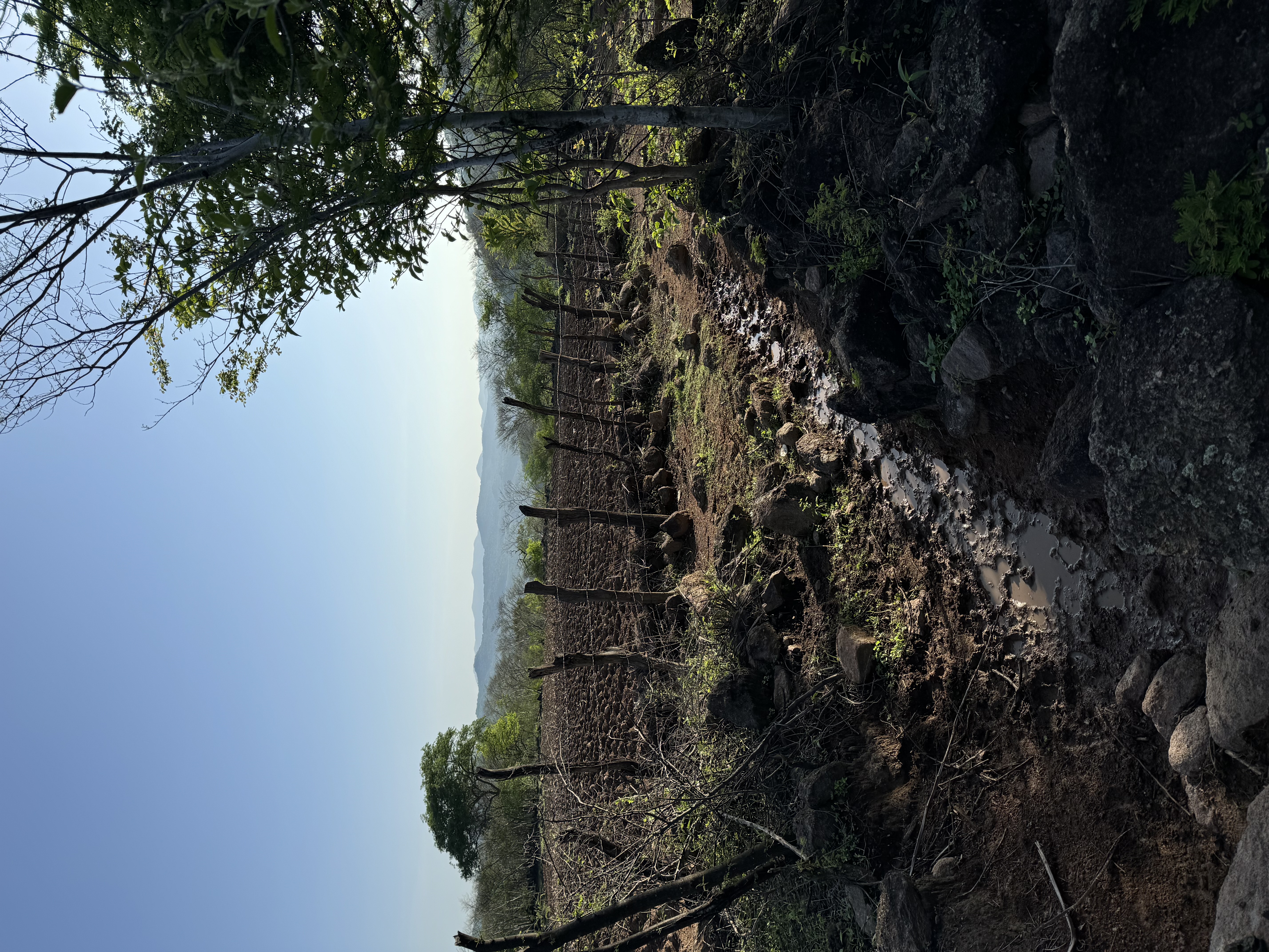 Farmland in Guerrero, Mexico — humble beginnings